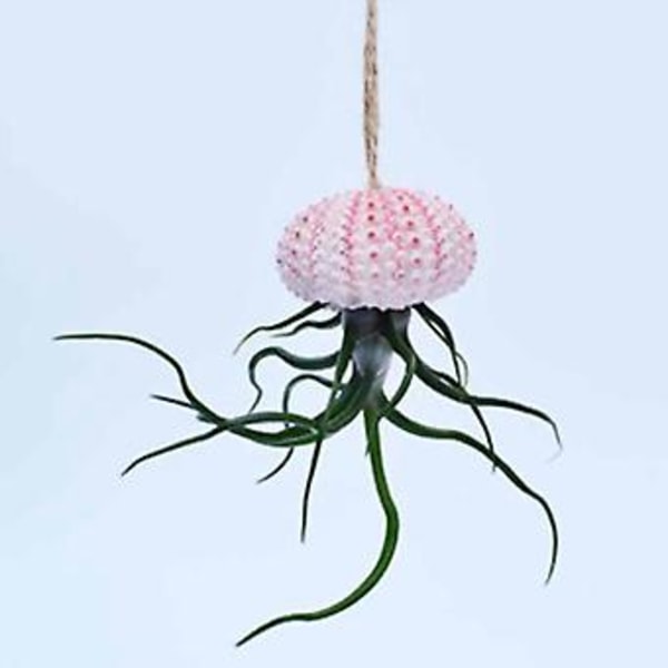 3 stk. Små ornamenter af muslingeskaller og søpindsvinskal (ekskl. planter)