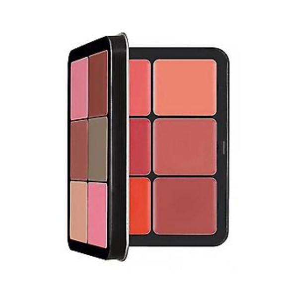 12-färgs Rougepalett Hudvänlig Ljusare Hy Multicolor Rogue Plate Concealer Plate