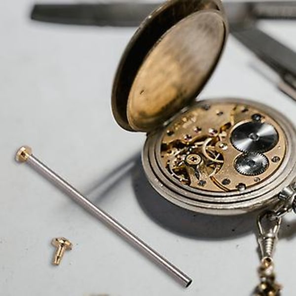 1 Låda Reparationsverktyg Set Klocka S Skruvar Sortiment Tub