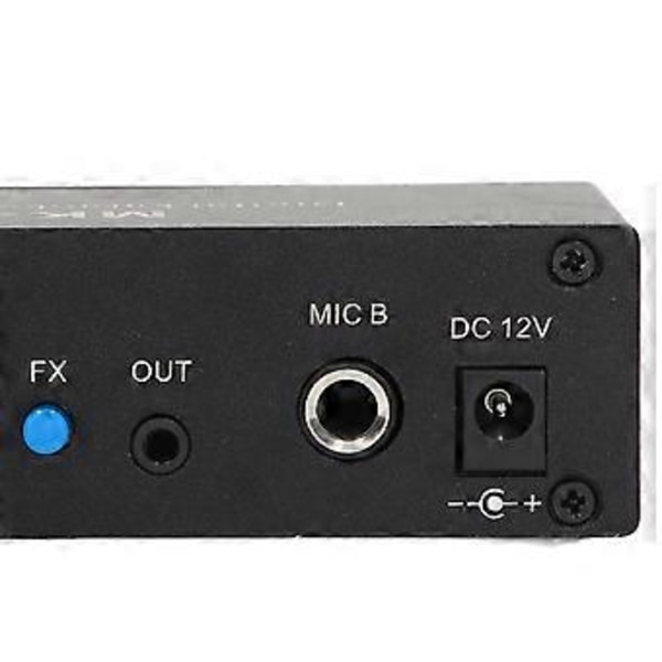 Digital Reverb Stereo Förstärkare Bluetooth 5.0 Dubbel Mikrofoningång DC 12V