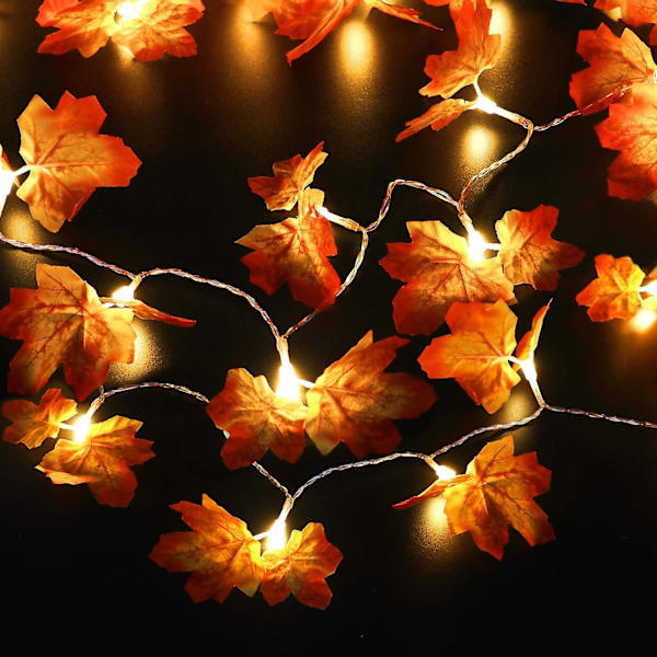Led-ljusslinga 20 LED-ekorrlampor ljusslinga batteridriven 6,5 fot ljusslinga med fjärrkontroll för Thanksgiving höst sovrum jul Hallo