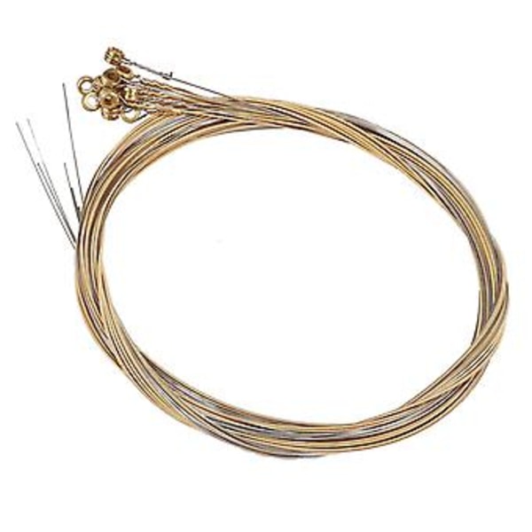 12 stk. Slitesterke Gitarstrenger i Rustfritt Stål Erstatning 12 Strenger Sett For Gitar Tilbehør