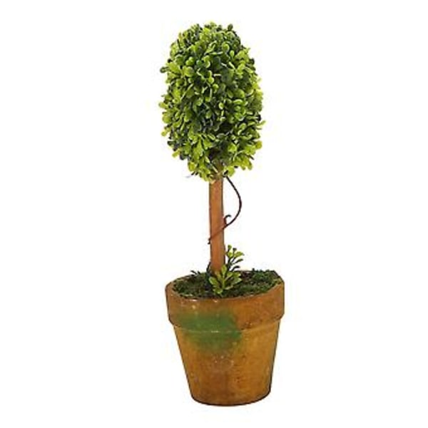 En Græskugle Topiary Træ Pot Tørret Plante Til Bryllup R(-sd)