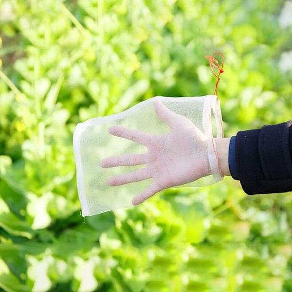 Plantesikringsposer, 50 stk. Havefrugtbarriere Dækposer til drue figen frøblomst Grøntsager Beskyttelse mod insekter Myg Bug-35x25cm