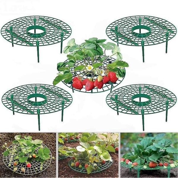 5-pack jordgubbssupport Jordgubbsväxtstöd Jordgubbsodlingsställ Jordgubbsodlingsram