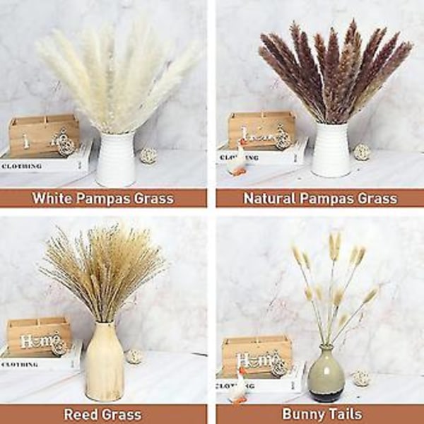 85 stk. Tørket Pampasgress R Pompass Gress Grener Tørket Bukett Boho Hjem R