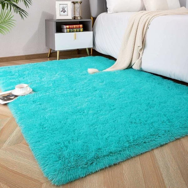 Soft Fluffy Area Rugs for Bedroom Kids Room Plush Shaggy Nursery Rug Furry Throw Carpets for Boys Girls, College Dorm Fuzzy Rugs Living Room Home De