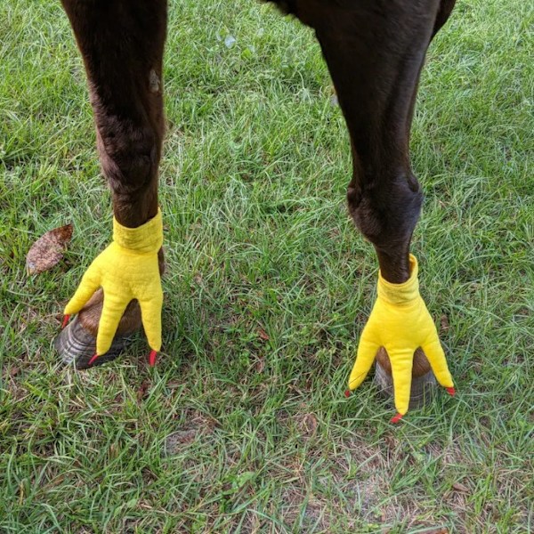 Chicken Feet For Horse: Pet Socks with a Creative Twist! Transform Your Pet's Look with Fun Horse, Tiger, Dinosaur Feet-inspired Designs - A Hilarious