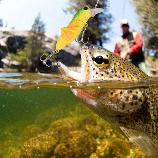 Expert Angler Series, Ledade klor för realistisk aktion, Livsliknande formbete, 5 st starkt färgade fiskedrag i plast