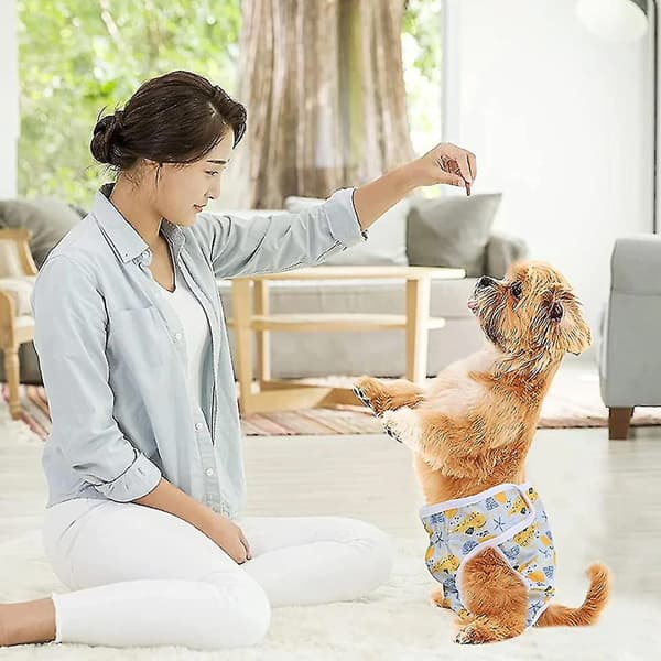 Vaskbare Hundebler til Små til Store Hunde, Maskinvaskbare Bler med Superabsorberende Kerne og Elastisk Taljebånd, 3-pak