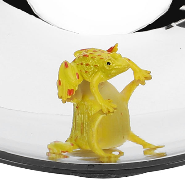 3D Mirascope Instant Holografisk Projektion Optisk Bildprojektion Barn Pedagogisk Leksak