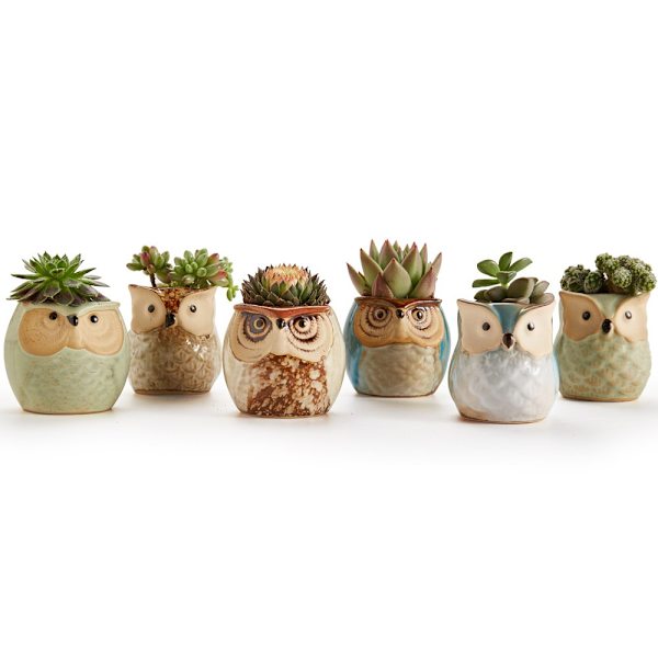 Uggla Kruka Keramisk Flytande Glasyr Bas Serie Set Succulent Växtkruka Kaktus Växtkruka Blomkruka Behållare Planterare med Dräneringshål Hemmakontorsskrivbord