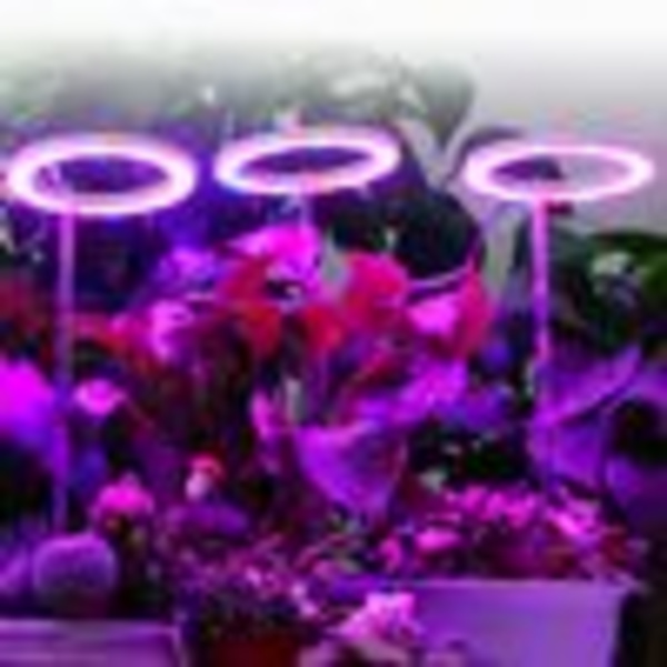Full Spectrum LED-växtlampa Dimbar 4 Ring Växtljus Växthus Tillväxtlampa med Timer