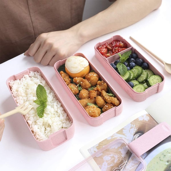 Lunchbox Bento Box för barn och vuxna med 3 fack