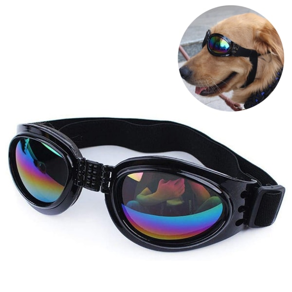 Hundsolglasögon vindtät UV-skydd hundglasögon UV