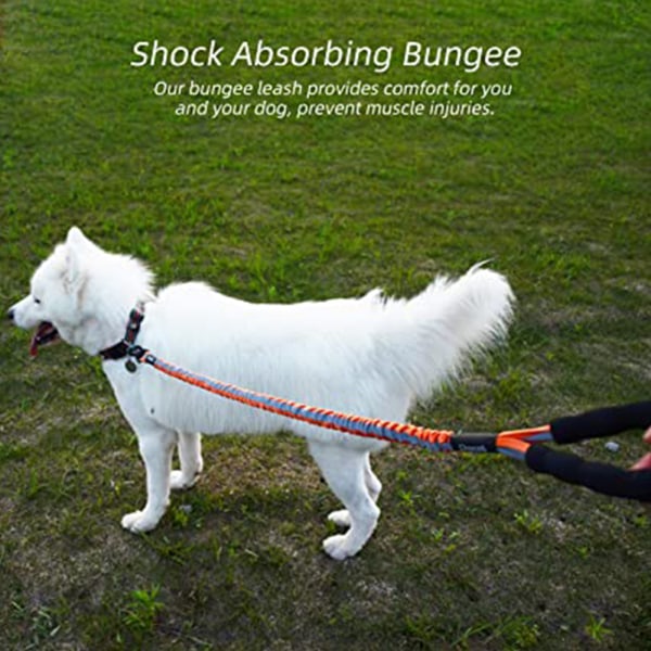 Reflekterande utdragbart hundkoppel, Bungee Training Hundkoppel för