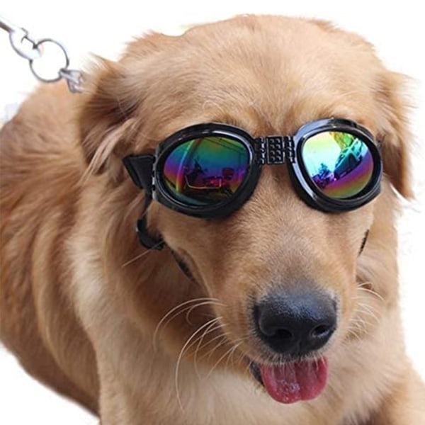 Hundsolglasögon vindtät UV-skydd hundglasögon UV