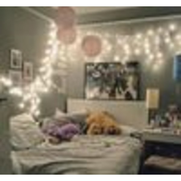 100M 600 LED ljusslinga karneval bröllop utomhus inomhus trädgårdsbelysning