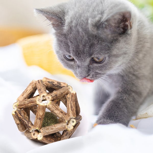 Kattmynta leksaker kattunge tänder rengöringsverktyg katttuggleksaker