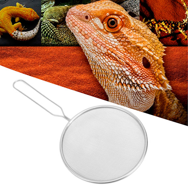 Reptilsandsspade i rostfritt stål, silfilter, skopa, rengöringsmedel för sköldpadda ödla