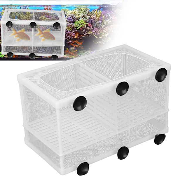Akvarium Fisk Yngelbox Isolering Box Yngel Kläckningsmaskin med SugkoppL (med Partition)