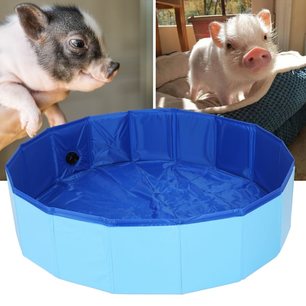Hopfällbar Hundpool i Plast, Sammanvikbar Badkar för Valpar och Små Katter, Utomhus/Inomhus Användning, Blå 80 x 20cm / 31.5 x 7.9in