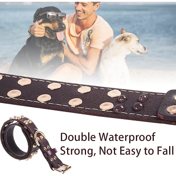 Elegant Hundhalsband, Äkta Läder för Små Raser, Guldfärgad Legering &amp; Robust Kopplingsring, Justerbart, Komfort &amp; Hållbarhet för Din