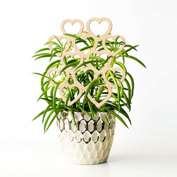 Klätterväxt fast ram Kina ros blomma hållare inomhus blomma växt stöd stolpe