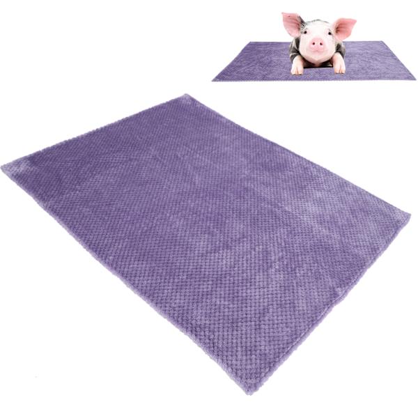 Tvättad husdjursfilt Vinter varm tjock hundfilt filt sovmössa mjuk fleeceöverdrag (Lila S-59*38cm)