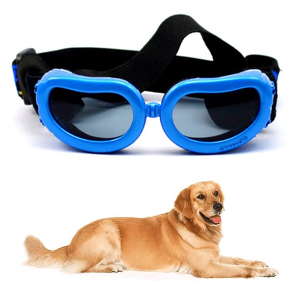 Hundglasögon Snygga vattentäta anti-ultravioletta solglasögon