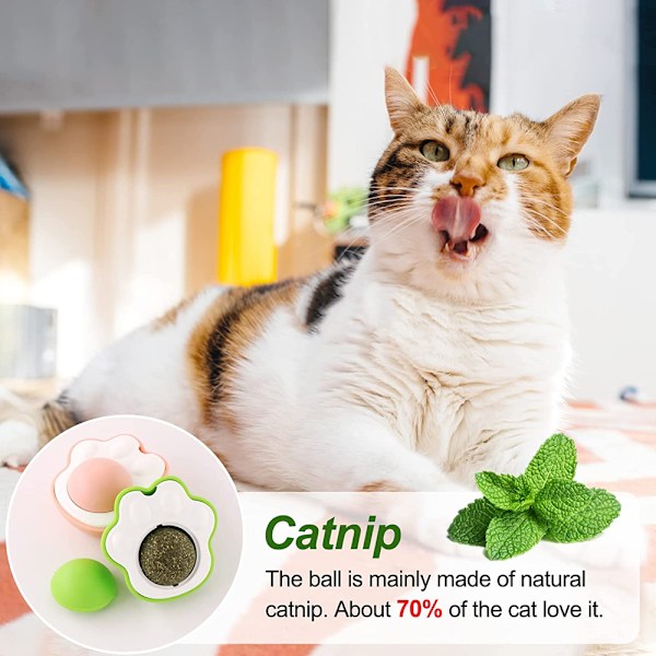 3-pack kattmynta leksaker för katt, kattmynta leksak för rengöring av tänder,
