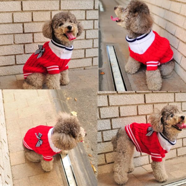 Pet sweater Pet två ben stickad tröja Hund röd marin stil