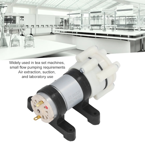 Liten Diafragmapump Mikro Tekanna för Akvarium Lab Analytisk 6mm ID 8.5mm OD R385 DC12V