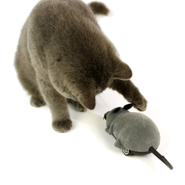 Elektrisk trådlös fjärrkontroll mus möss RC leksak katt husdjur leksaker