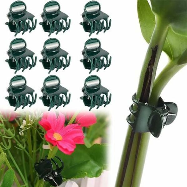 100 st plantklämmor, blomma klämma, orkidé klämmor, för växter set, för tillbehör för att stödja växter inomhus och utomhus