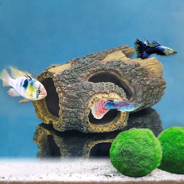 Akvariedekoration Stock, Bettas Hus Grotta Realistiskt Akvarielook Harts Ihålig Trädstam För Akvarium Gömställe, Nano Beta Fiskdekor Med 5 Ingångar/Utgångar