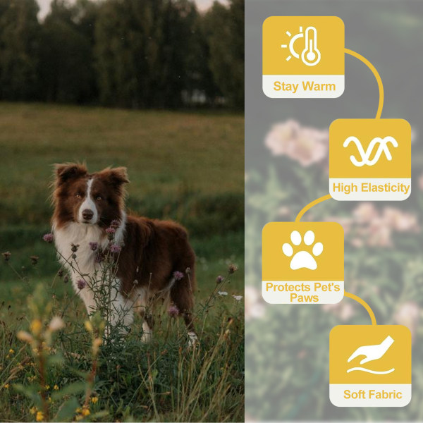 Anti-halk hundstrumpor tassar slutar slicka, 2 par hundstrumpor med justerbara remmar, tassskydd för husdjur, hundklostrumpor för hundvalp inomhus utomhus