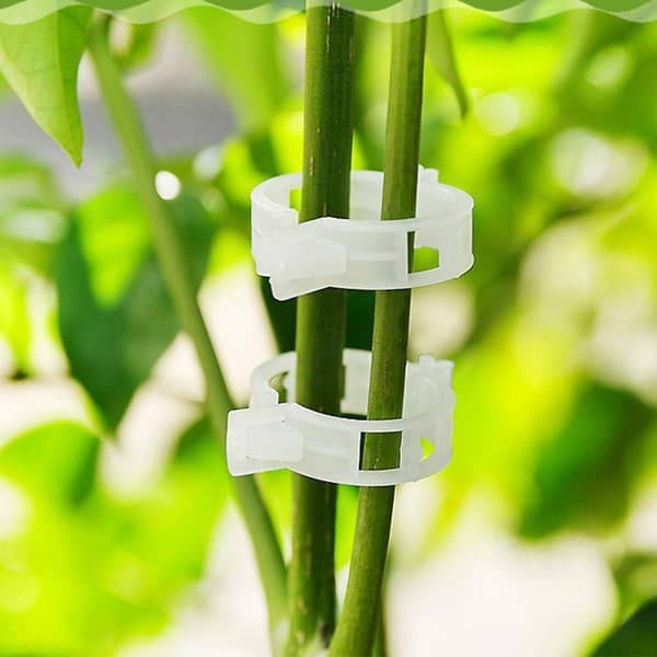 Tomatrankeclips, holdbart plastmateriale med ventileret design til sund planteudvikling