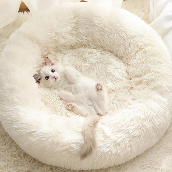 Mjuk rund hund- och kattsäng - Lugnande anti-stress plysch katt- och hundkudde, Donut bekväm tvättbar säng för katter och små medelstora hundar (vit)