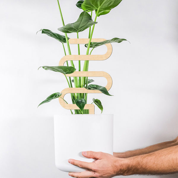 Klätterväxt fast ram Kina ros blomma hållare inomhus blomma växt stöd stolpe