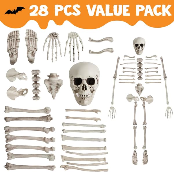 28 dele, 4,5 pund knoglepose skelet skelet Halloween