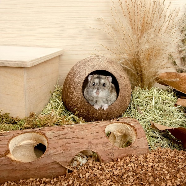 Mångsidig Design Liten Djurbädd, Kokosnöts Hamsterhus Bädd För Burdekoration, Perfekt Gömställe Med Enkel Åtkomst Och Återanvändbar Miljövänlig