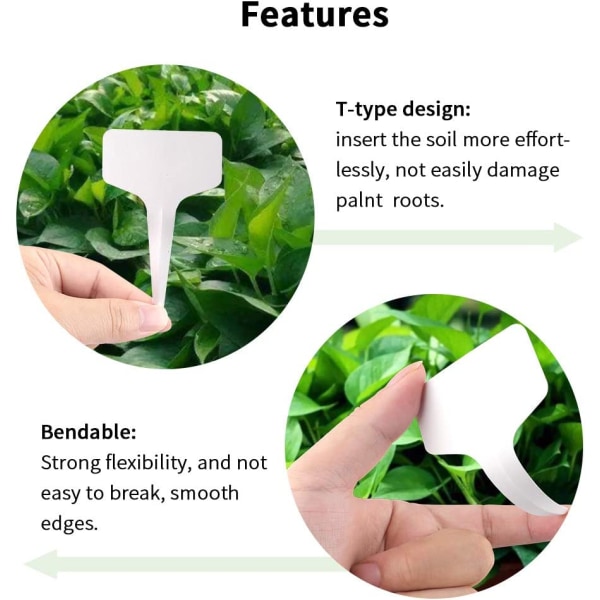 100 st Mini T-formad plast växtstakes Stick-In Etiketter Etikett