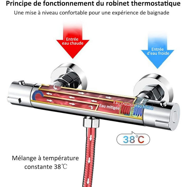Termostatisk duschblandare 2 utlopp, Termostatisk duschblandare med 2 utlopp, Kromatiserad mässingsblandare i modern design med säkerhetsknapp