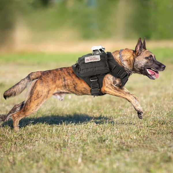 Taktisk Hundsele för Service Polis Militär, Kraftig Ventilerande Meshväst med Justerbara Remmar, Dragfri Kontroll för Mellanstora till Stora Raser