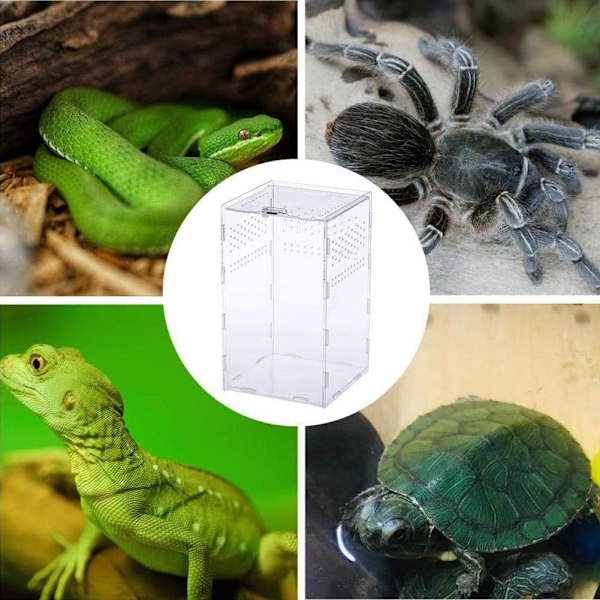 Akryl Reptilhabitat, Mikrohabitat med Premiummaterial för Klar Observation (Horisontell eller Vertikal Stil)
