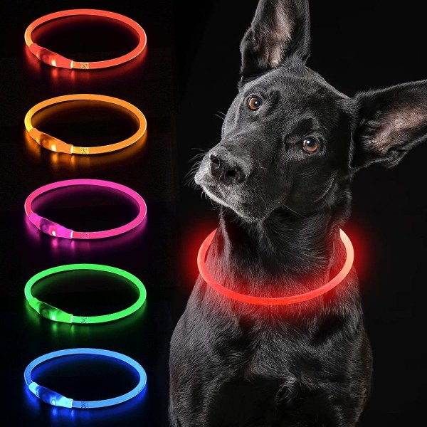 LED-hundhalsband Upplyst hundhalsband USB uppladdningsbart vattentätt husdjur