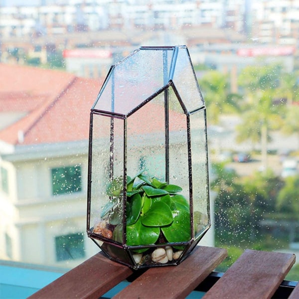 Handgjort geometriskt glasterrarium för suckulenta luftväxter