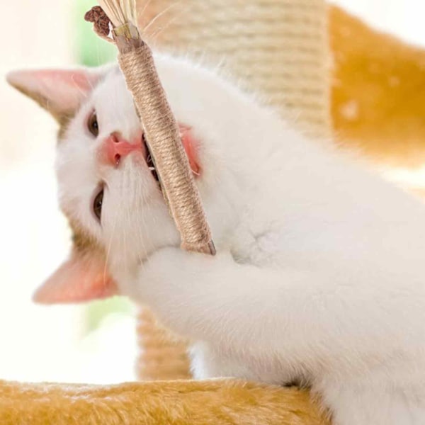 Kattmynta Tuggleksaker för kattungar, 4 st Naturliga Katt Tuggleksaker för Innekatter Tandrengöring, Interaktiv Kattmynta Leksak, Tandvårds Kattmynta Pinnar för