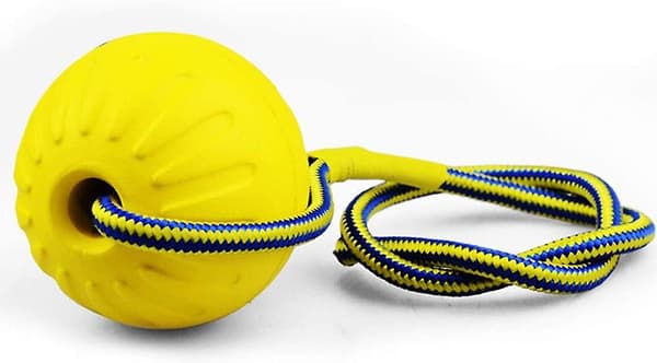 Kastboll, gummihundboll med elastiskt rep, hundleksaksboll (Y